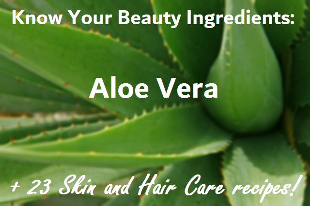 Know Your Beauty Ingredients Aloe Vera 23 Diys For Skin And