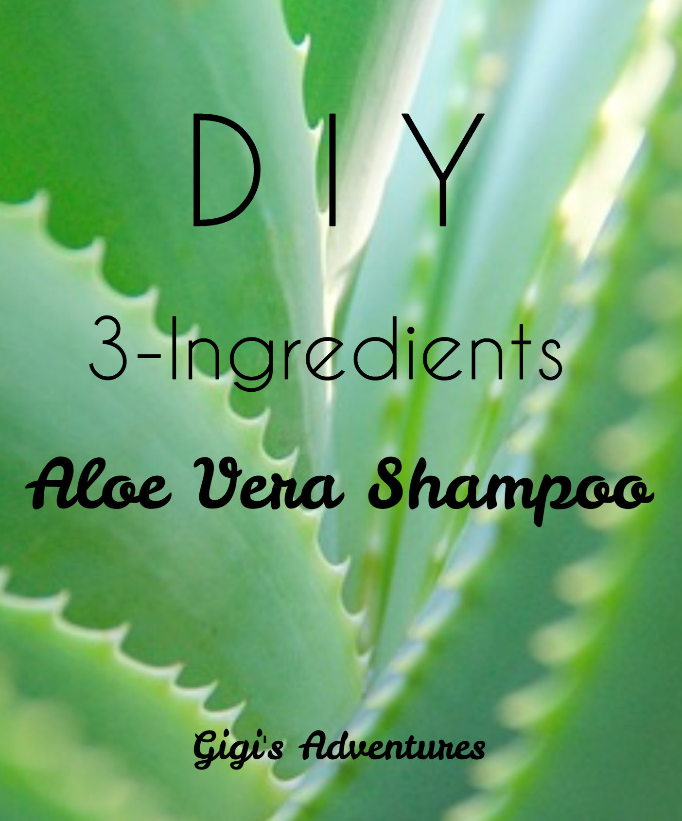 DIY 3-Ingredients Aloe Vera Shampoo - For Dandruff, Growth & Hydration!