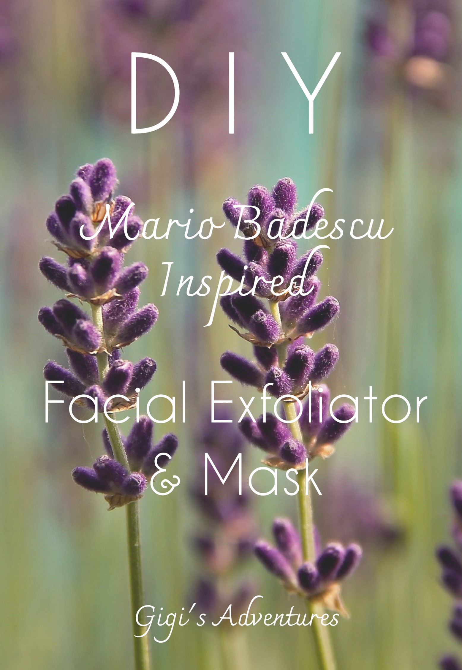 DIY Mario Badescu Inspired Facial Exfoliator/Mask