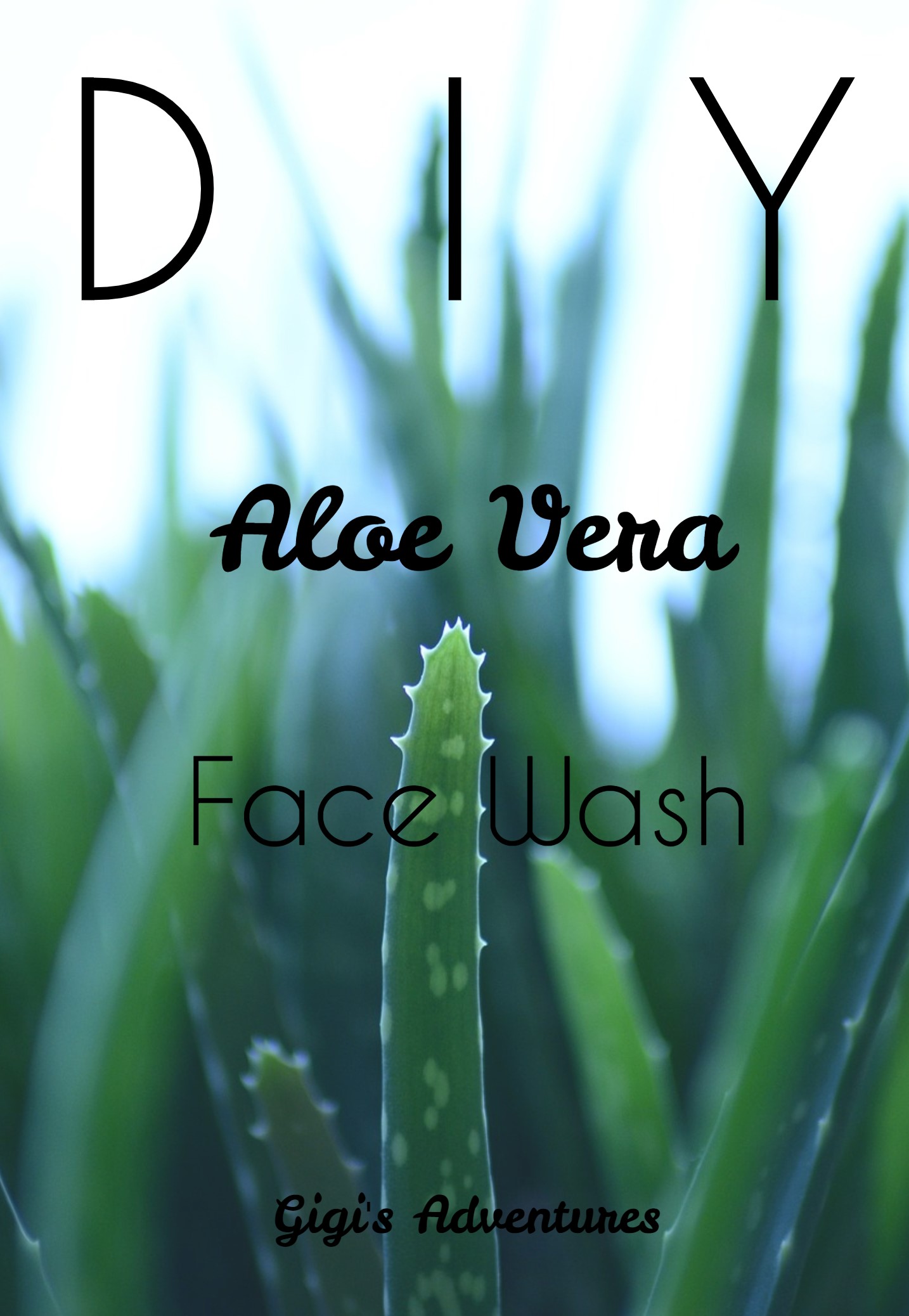 DIY 3-Ingredients Aloe Vera Face Wash - Purifies, Moisturizes and More!