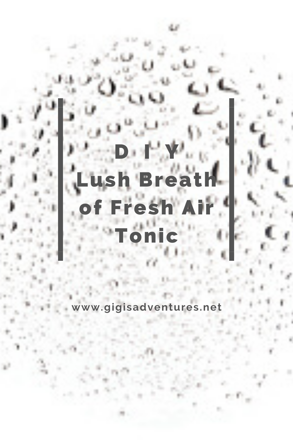 DIY Lush Breath of Fresh Air Tonic - Lush Breath of Fresh Air Copycat