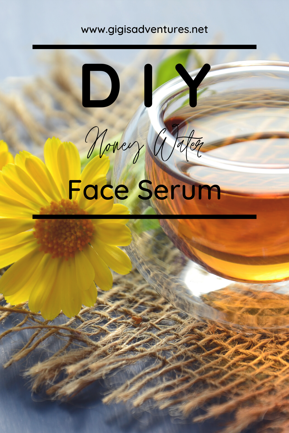 Hydrate your skin with this super lightweight and easy to make DIY Honey Water Face Serum. It is super cheap, and will give you results overnight!