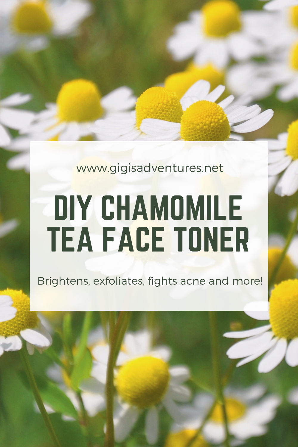 DIY Chamomile Tea Face Toner - DIY Face Toner